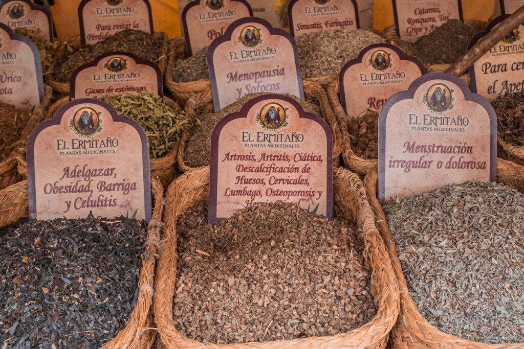 plantas y hierbas Medicinales
