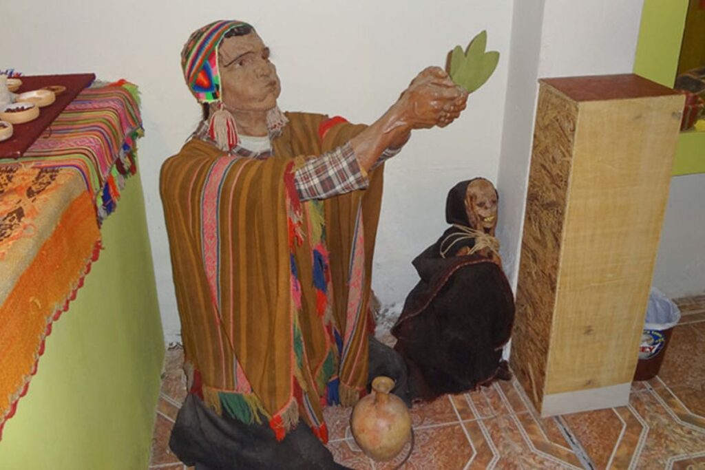 Museo de la Coca