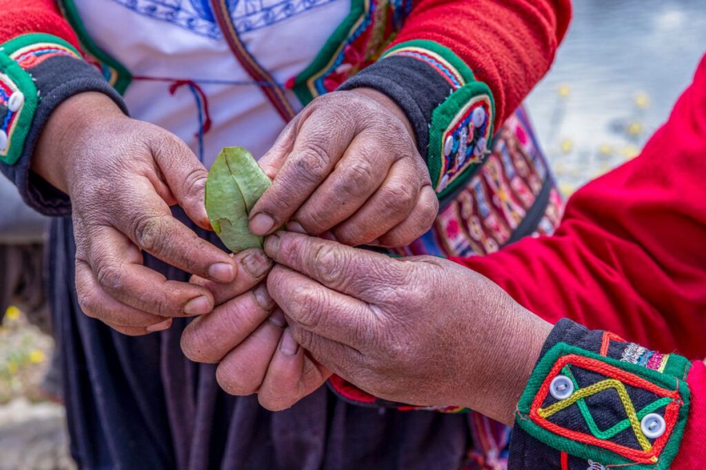 Kintu de Coca