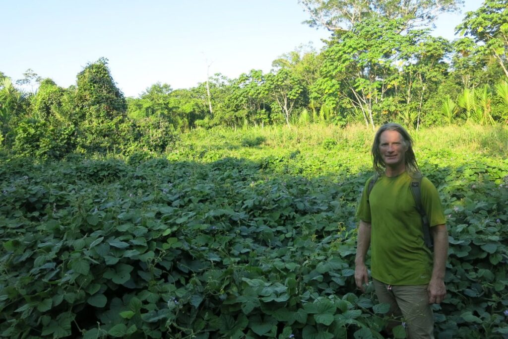 Selva de Pucallpa