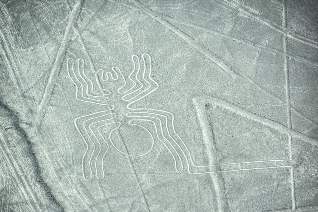 Linea de Nazca - Araña