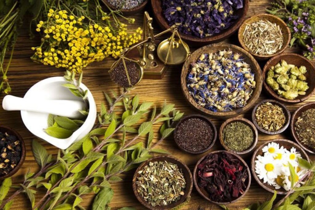 Plantas medicinales