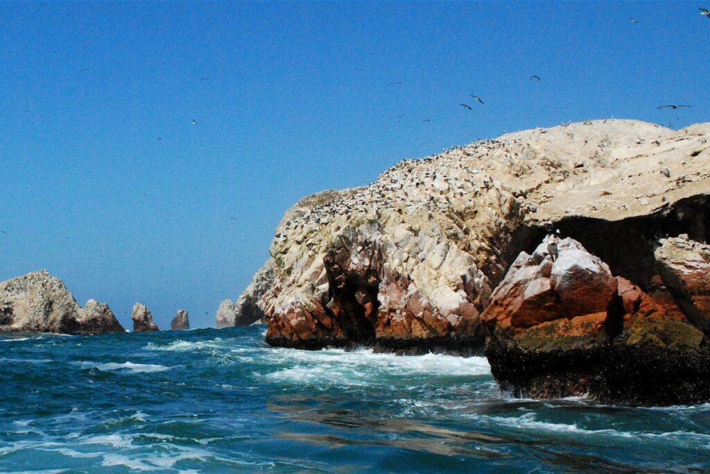 Paracas y las Islas Ballestas